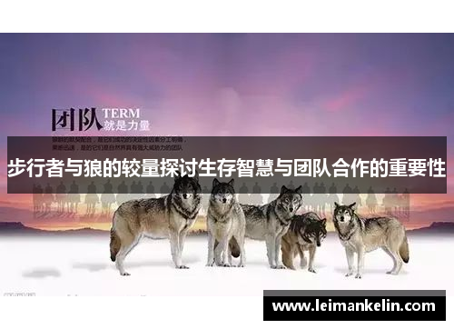 步行者与狼的较量探讨生存智慧与团队合作的重要性