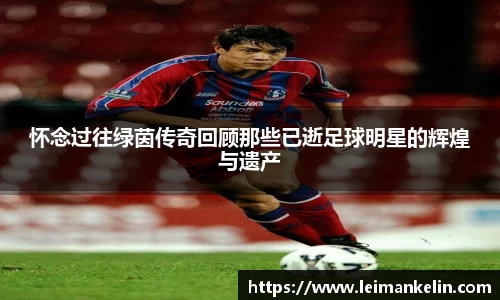 怀念过往绿茵传奇回顾那些已逝足球明星的辉煌与遗产