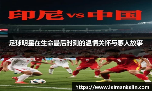 智博19有限公司